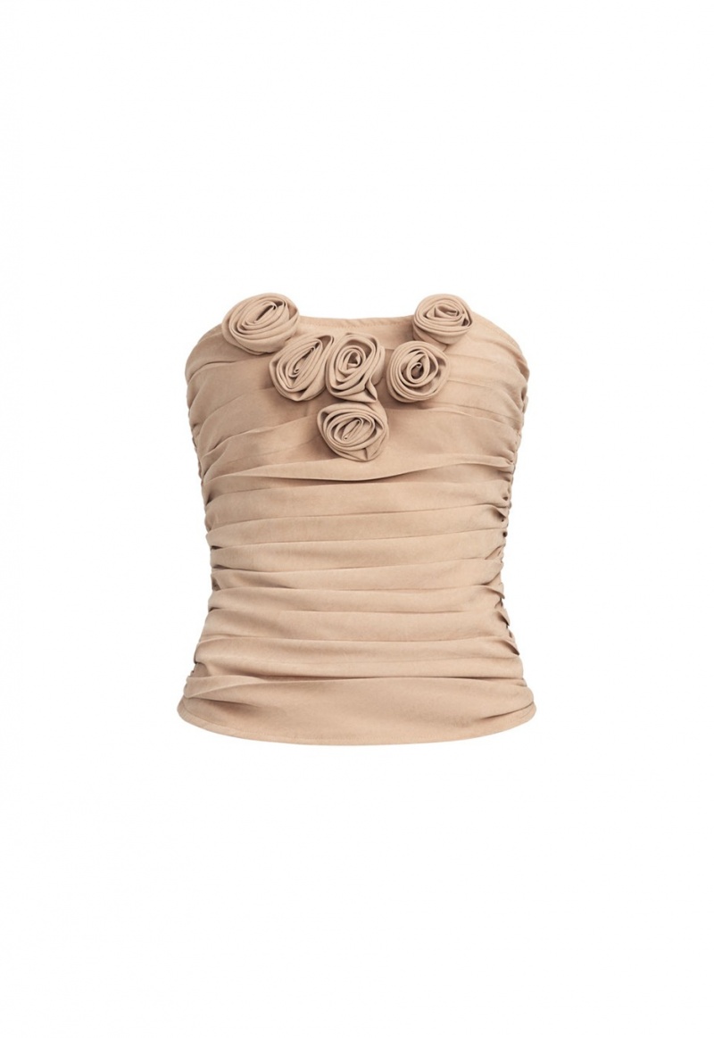 Brown Lioness Birkin Corset | Canada-MNLGP7198