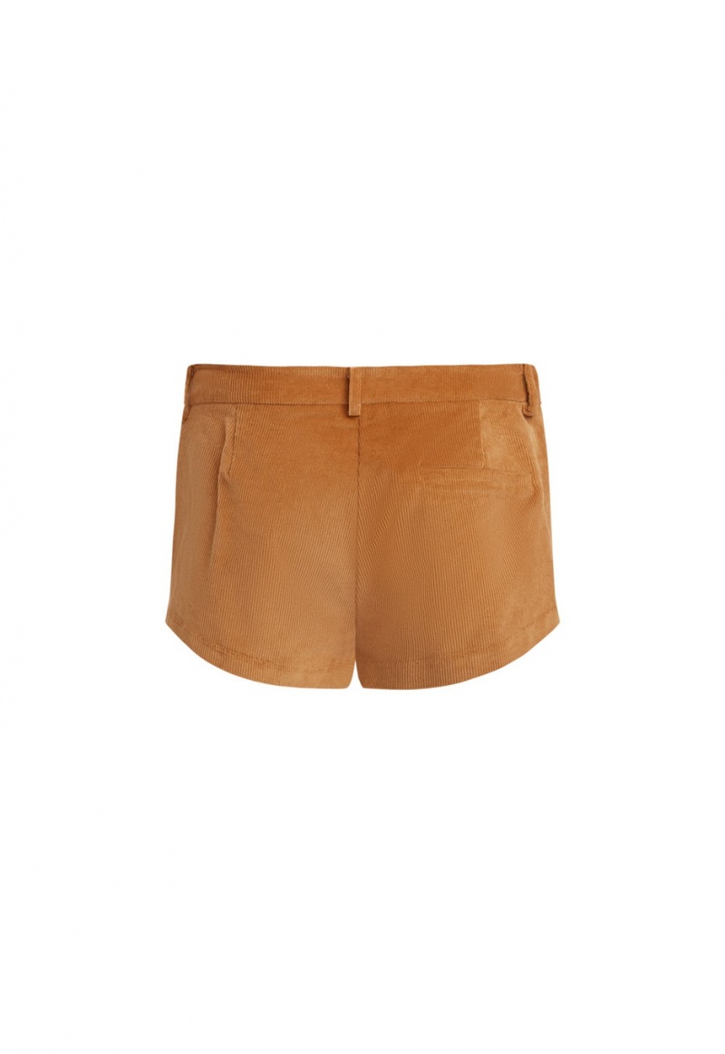 Brown Lioness Saddle Shorts | Canada-NYKLI2678