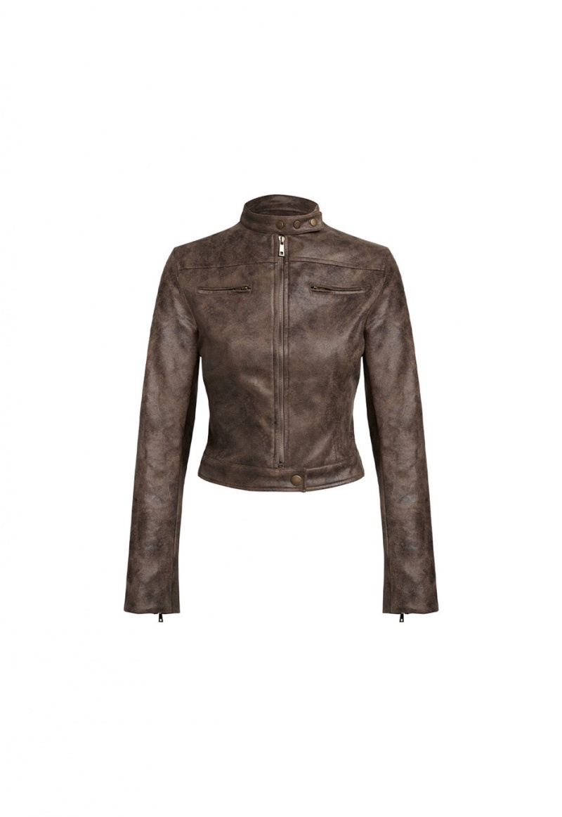 Chocolate Lioness Bella Moto Leather Jacket | Canada-LAVHY3278