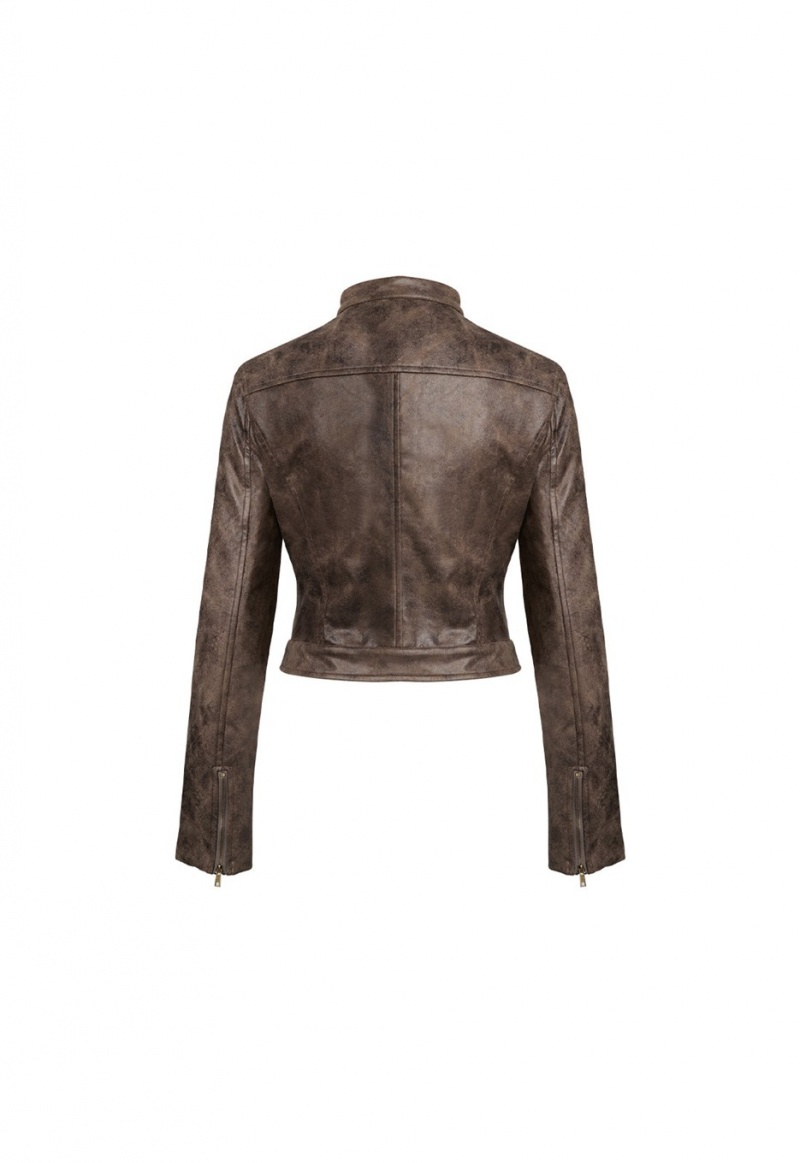 Chocolate Lioness Bella Moto Leather Jacket | Canada-LAVHY3278