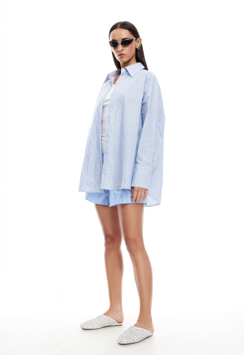 Light Blue Lioness Boyfriend Shirt | Canada-SLZEW9570